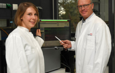 Los hombres bajos tienen mayor riesgo de quedarse calvos prematuramente