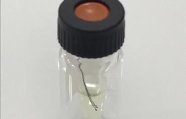 Test de la sulfotransferasa : MINOTEST